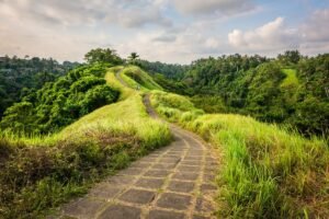 Best Activities to do in Bali