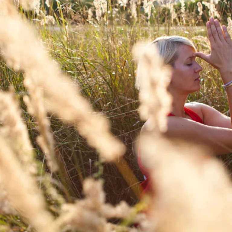 konzentration-lernen-dharana-lotuscrafts-meditation_grande